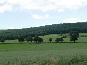 Devese 2010 034